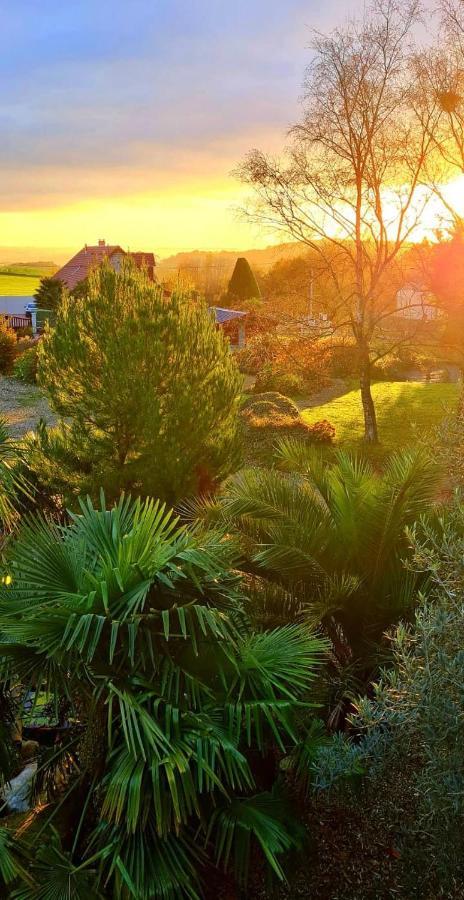 La Pichonniere Bed & Breakfast Isigny-le-Buat Dış mekan fotoğraf